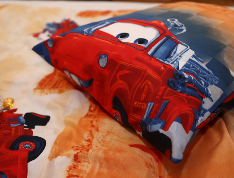 Полуторный набор постельного белья 150*220 из Ранфорса №17777 Черешенка™