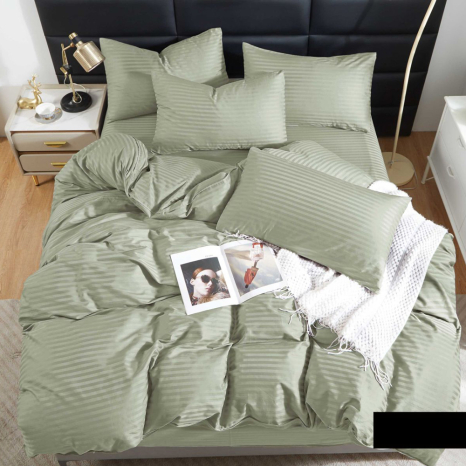 Євро-максі набір постільної білизни 200*220 зі Страйп Сатину №54020