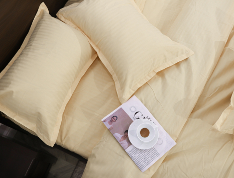 Євро-максі набір постільної білизни 200*230 зі Страйп Сатину D-015