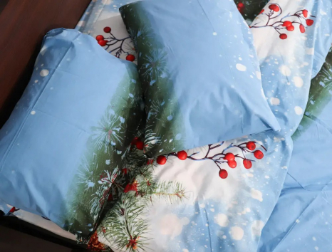 Евро макси набор постельного белья 200*220 из Бязи "Gold" №157566 Черешенка™