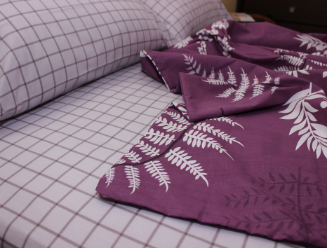 Євро-максі набір постільної білизни 200*220 із Ранфорсу №183167AB Черешенка™