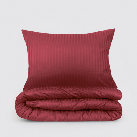 Євро-максі набір постільної білизни 200*220 з Страйп Сатину №541840