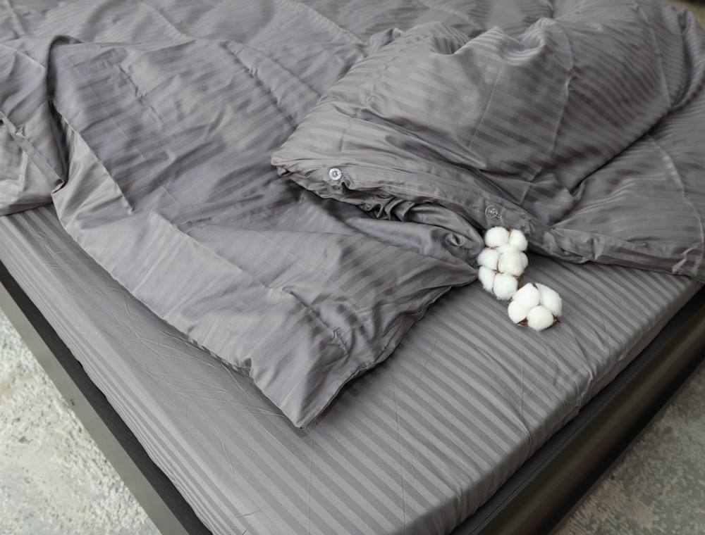 Євро-максі набір постільної білизни 200*220 зі Страйп Сатину №18-5203 Черешенка™