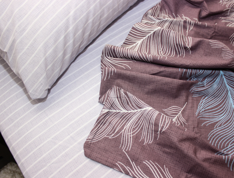 Двоспальний набір постільної білизни 180*220 із Ранфорсу №181070AB Черешенка™