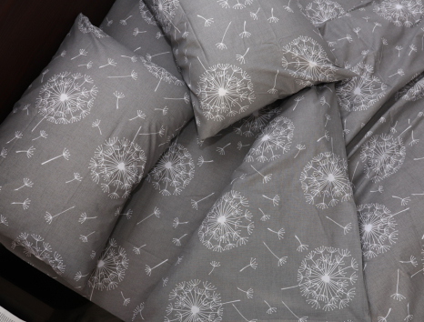 Євро-максі набір постільної білизни 200*220 із Бязі "Gold" №158006 Черешенка™