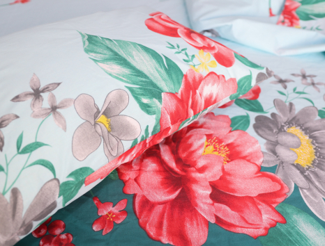 Евро макси набор постельного белья 200*220 из Бязи "Gold" №154715 Черешенка™