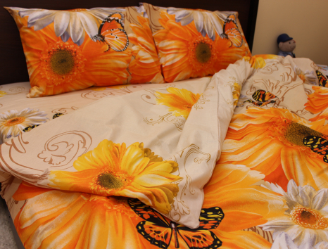 Евро макси набор постельного белья 200*220 из Бязи "Gold" №157546 Черешенка™