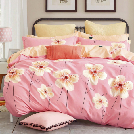 Євро-максі набір постільної білизни 200*220 із Бязі "Gold" №157414AB Черешенка™