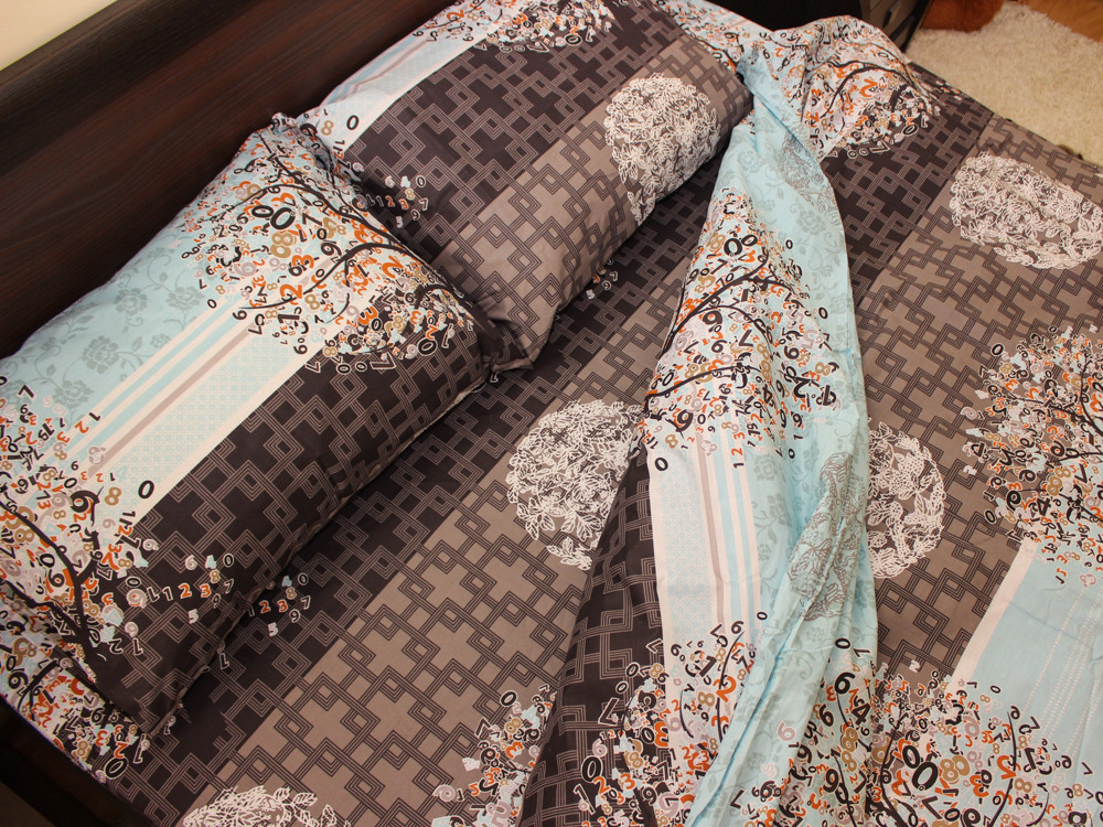 Євро-максі набір постільної білизни 200*220 із Бязі "Gold" №154089 Черешенка™