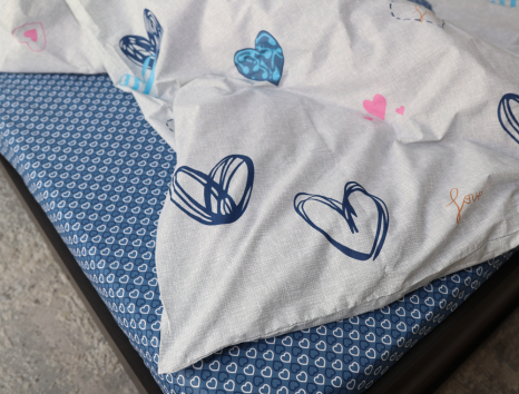 Євро-максі набір постільної білизни 200*220 із Бязі "Gold" №151810AB Черешенка™