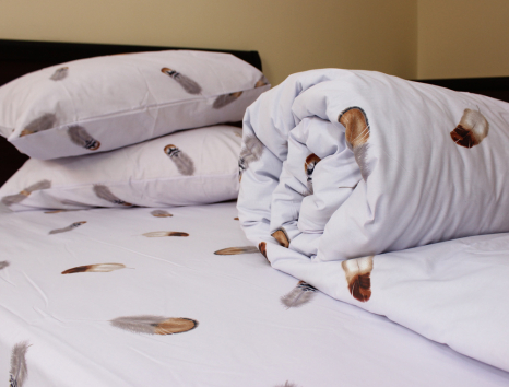 Євро-максі набір постільної білизни 200*220 із Ранфорсу №182077 Черешенка™