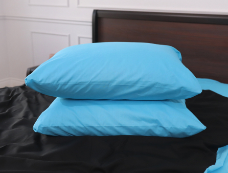 Двуспальный набор однотонного постельного белья 180*220 из Бязи "Gold" №155532AB Черешенка™