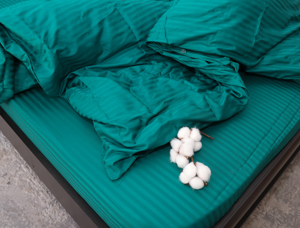 Двуспальный набор постельного белья 180*220 из Страйп Сатина №18-4728 Черешенка™