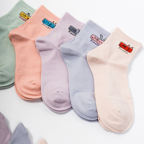 Жіночі шкарпетки Nicen (10 пар) 37-41 №A088-1