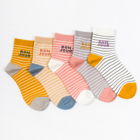 Жіночі шкарпетки Nicen (10 пар) 37-41 №A056-3