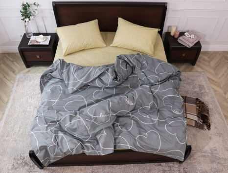 Євро-максі набір постільної білизни 200*220 із Бязі "Gold" №151923AB Черешенка™