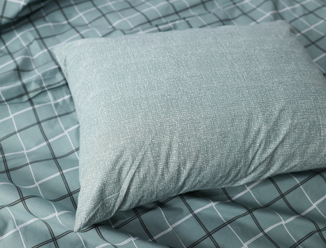 Євро-максі набір постільної білизни 200*220 із Бязі "Gold" №151903AB Черешенка™