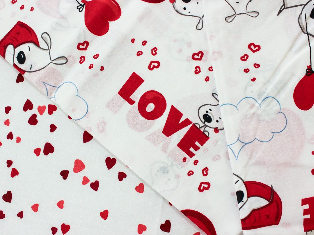 Євро-максі набір постільної білизни 200*220 із Бязі "Gold" №157352AB Черешенка™