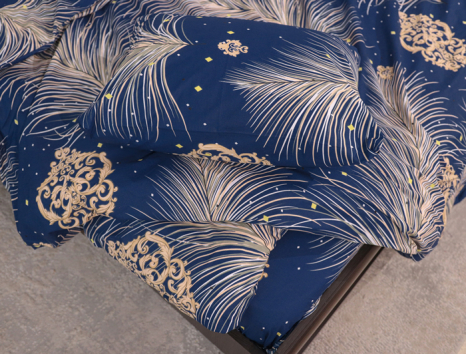 Евро макси набор постельного белья 200*220 из Бязи "Gold" №151688 Черешенка™