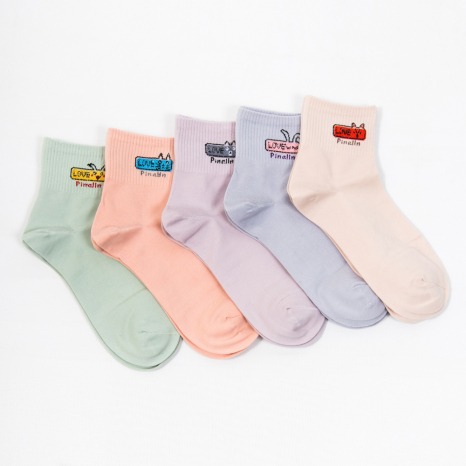 Жіночі шкарпетки Nicen (10 пар) 37-41 №A088-1