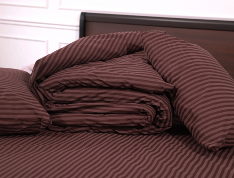 Євро-максі набір однотонної постільної білизни 200*220 із Бязі "Gold" №1510028 Черешенка™