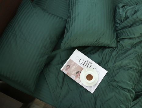 Євро-максі набір постільної білизни 200*220 зі Страйп Сатину №19-5917 Черешенка™