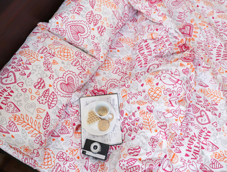 Євро-максі набір постільної білизни 200*220 із Бязі "Gold" №156080 Черешенка™