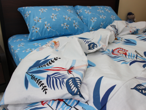 Євро-максі набір постільної білизни 200*220 із Бязі "Gold" №156082AB Черешенка™