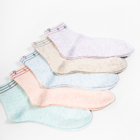 Жіночі шкарпетки Nicen (10 пар) 37-41 №A051-25