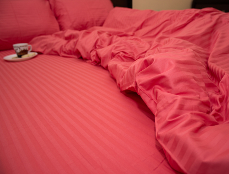 Сімейний набір постільної білизни зі Страйп Сатину №541640 KRISPOL™