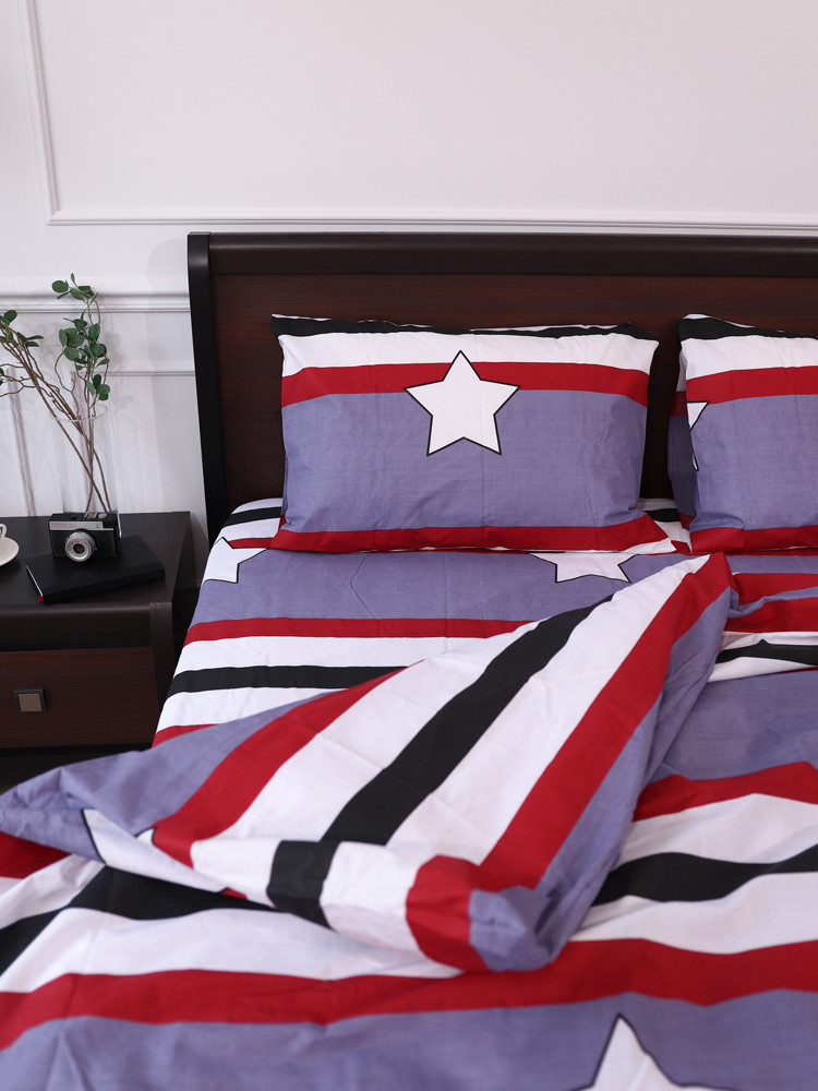 Євро-максі набір постільної білизни 200*220 із Бязі "Gold" №151252 Черешенка™