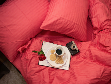 Євро-максі набір постільної білизни 200*220 зі Страйп Сатину №541640 KRISPOL™