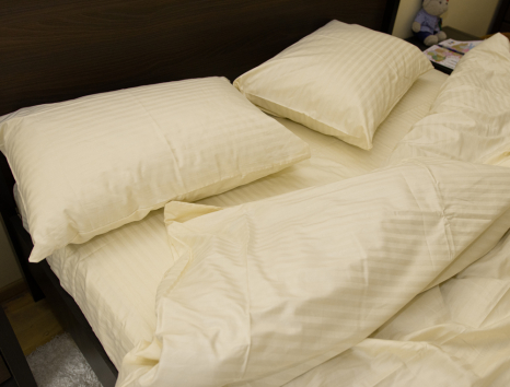 Євро-максі набір постільної білизни 200*220 зі Страйп Сатину №504442 Черешенка™