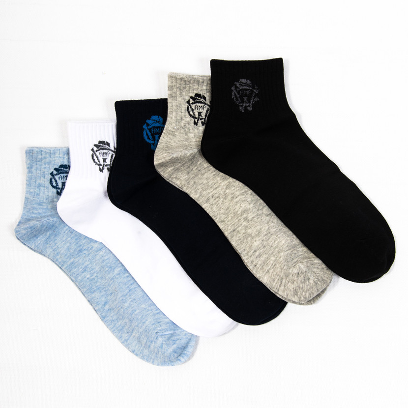 Чоловічі шкарпетки Nicen (10 пар) 41-47 №F554-23