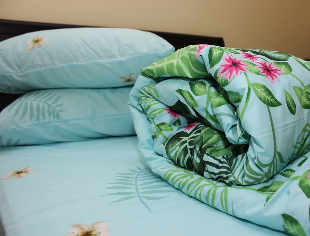 Євро-максі набір постільної білизни 200*220 із Ранфорсу №183169 Черешенка™