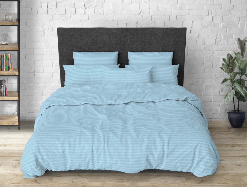 Євро-максі набір однотонної постільної білизни 200*220 із Бязі "Gold" №1510046 Черешенка™