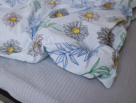 Евро макси набор постельного белья 200*220 из Бязи "Gold" №151538AB Черешенка™