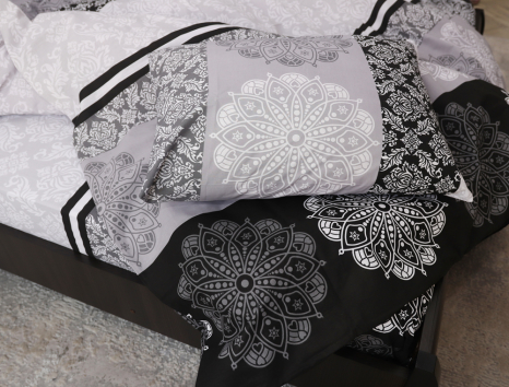 Євро-максі набір постільної білизни 200*220 із Бязі "Gold" №151433 Черешенка™