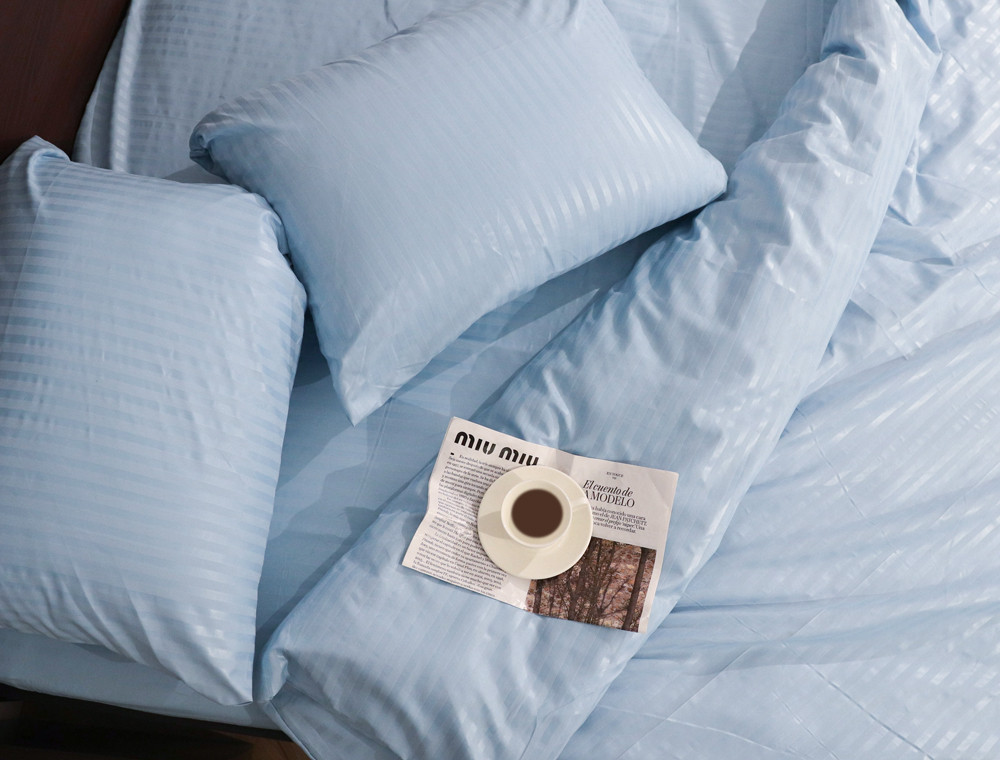 Євро набір постільної білизни 200*220 із мікрофібри в смужку №206020 Черешенка™