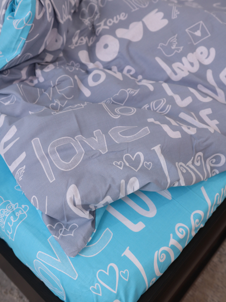 Євро-максі набір постільної білизни 200*220 із Бязі "Gold" №157207AB Черешенка™