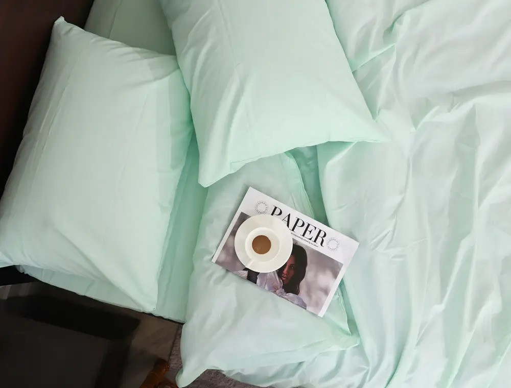 Євро-максі набір однотонної постільної білизни 200*220 із Бязі "Gold" №151053 Черешенька™