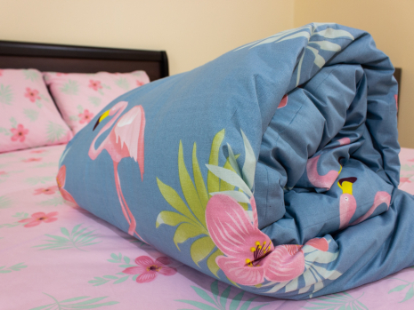 Євро-максі набір постільної білизни 200*220 із Бязі "Gold" №157393AB Черешенка™