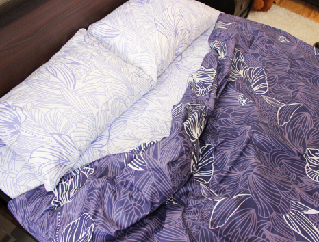 Євро-максі набір постільної білизни 200*220 із Бязі "Gold" №152816AB Черешенка™