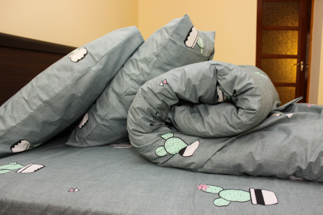 Євро-максі набір постільної білизни 200*220 із Бязі "Gold" №154200 Черешенка™