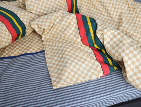 Євро-максі набір постільної білизни 200*220 із Бязі "Gold" №153584 Черешенка™