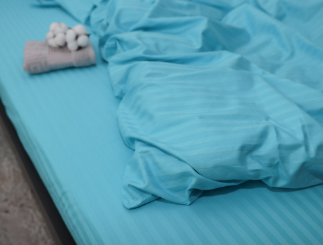 Євро-максі набір постільної білизни 200*220 зі Страйп Сатину №543618 KRISPOL™