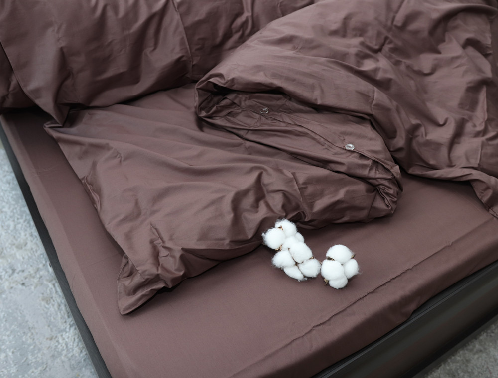 Евро макси набор постельного белья 200*220 из Сатина №18-1312-T Черешенка™