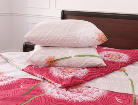 Евро макси набор постельного белья 200*220 из Бязи "Gold" №153311 Черешенка™