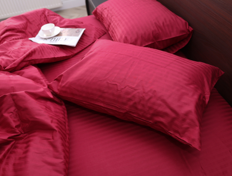 Евро макси набор постельного белья 200*220 из Страйп Сатина №19-1840 Черешенка™