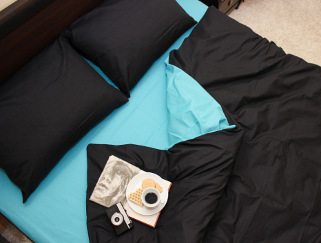 Євро-максі набір однотонної постільної білизни 200*220 із Бязі "Gold" №154025AB Черешенька™